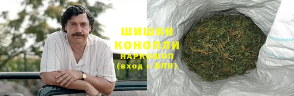 кокс Бородино