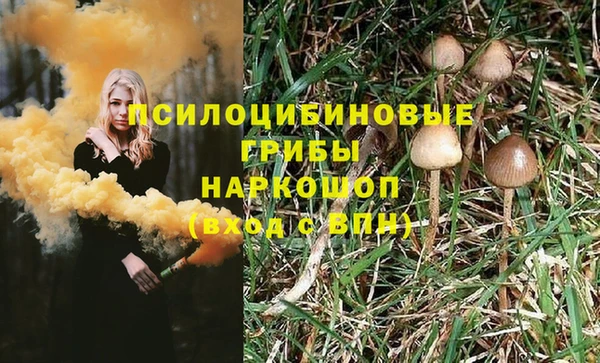 кокс Бородино