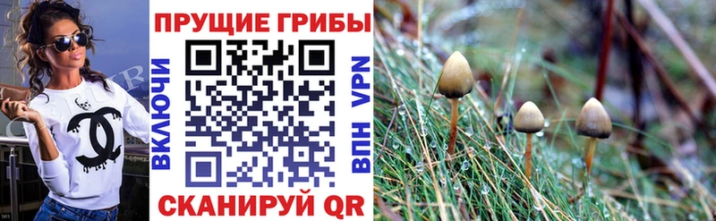 Псилоцибиновые грибы GOLDEN TEACHER  Оренбург 